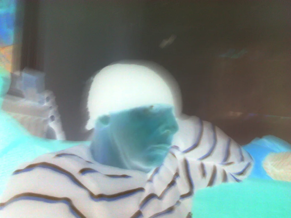 Picture